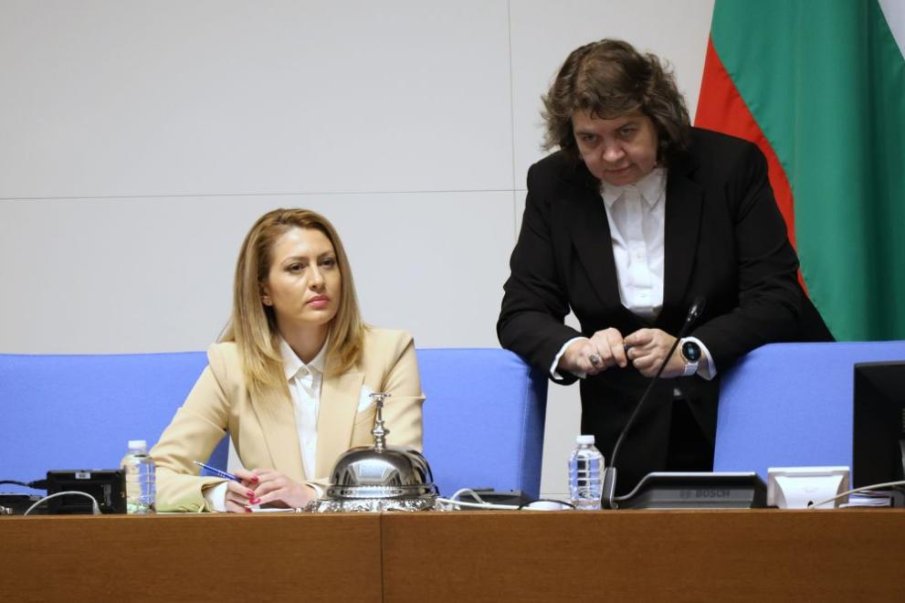 Киселова ще предложи график за избор на органите с изтекъл мандат