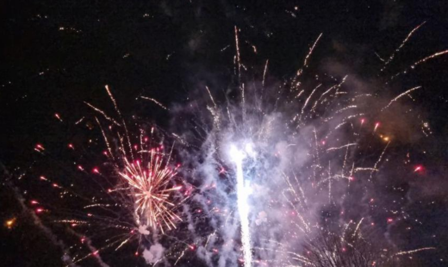 Няколко души са арестувани в Берлин, насочили фойерверки срещу участници в движението