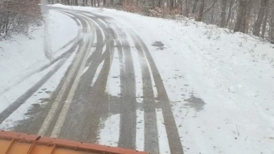 В Гърция вятърът изкорени дървета из цялата страна, затвори пристанища