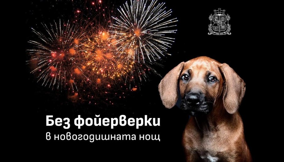 Без заря на Новогодишния концерт на площад Батенберг