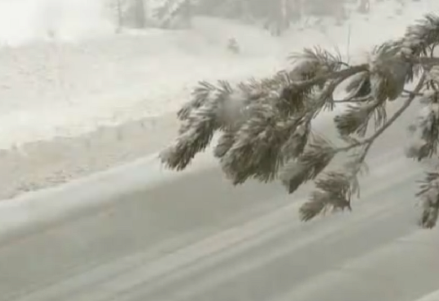 Снежна буря в Калифорния взе живота на двама души