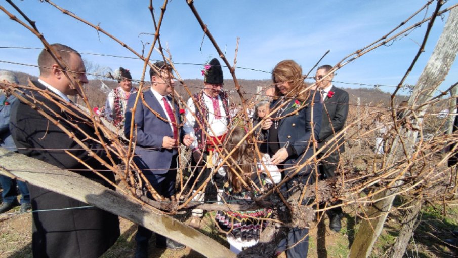 Във Великотърновска област честваха празника на лозарите и винарите