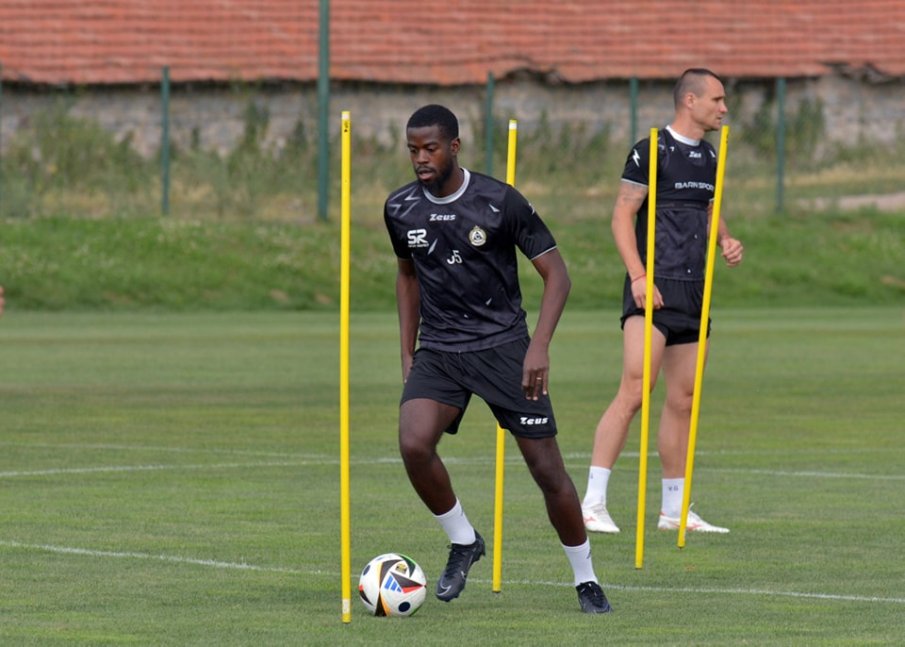 Ето колко ще плати Левски за Карл Фабиен