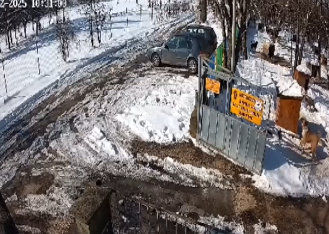 Стреляха по хора в приют за кучета в Русе