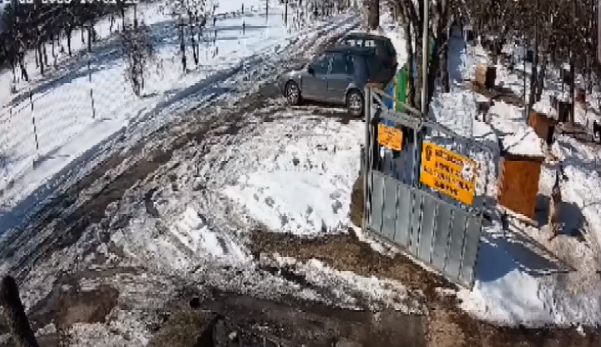 Стрелба по приют за бездомни животни в Русе, има ранено куче