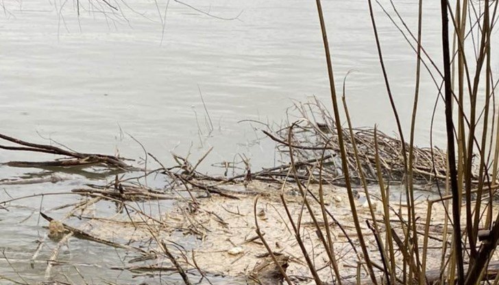 Скандално ВИДЕО с изхвърляне на фекални води разбуни Видин