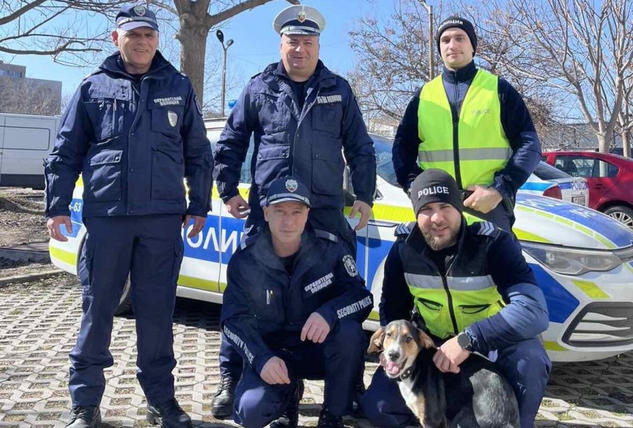 Те спасиха кучето Цезар от жесток стопанин и след това му дадоха дом