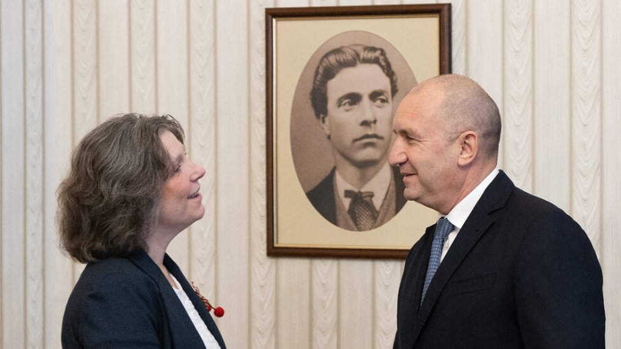 Радев се срещна с посланичката на САЩ Сюзън Фалатко