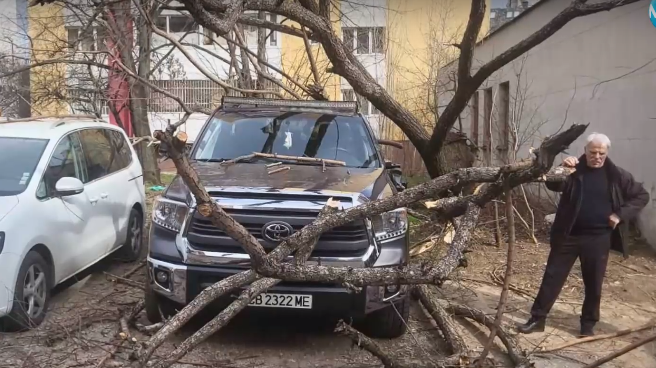На метри от детска площадка: Огромно дърво се стовари върху паркиран автомобил