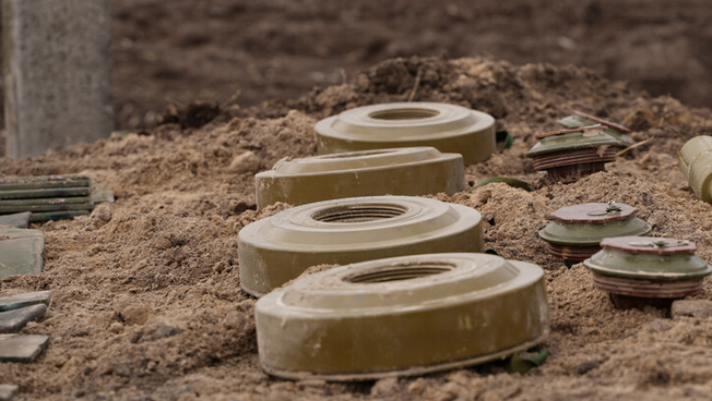 Полша и балтийските държави планират оттегляне от Договора за забрана на противопехотните мини