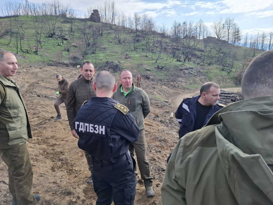 Залесяват опожарената през лятото Малашевска планина