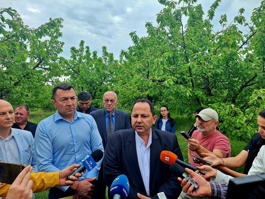 Земеделски стопани подадоха заявления за измръзване на над 300 хил. декара Земеделски стопани подадоха заявления за измръзване на над 300 хил. декара