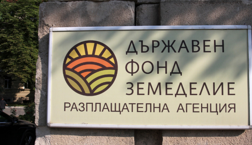 Свиневъдите могат да кандидатстват за подпомагане за хуманно отглеждане на прасета за угояване Свиневъдите могат да кандидатстват за подпомагане за хуманно отглеждане на прасета за угояване