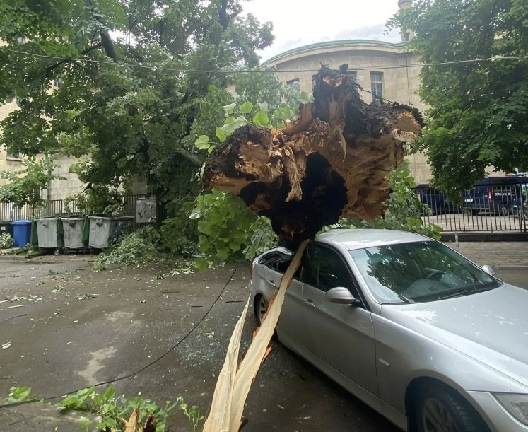СЛЕД БУРЯ: Дърво падна върху кола в Русе
