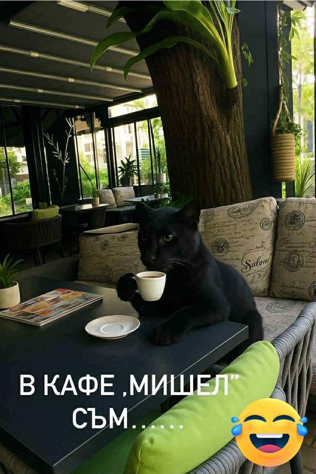 НА ЧЕРНО: Колко струва да си купиш контрабандно дива котка