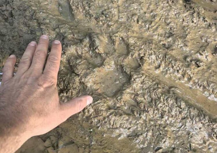Ограничителните мерки в парка Шуменското плато остават в сила