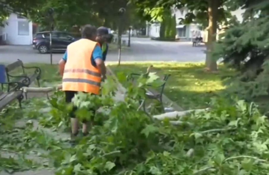 Лятна буря връхлетя Лом, бутна дървета и улични стълбове