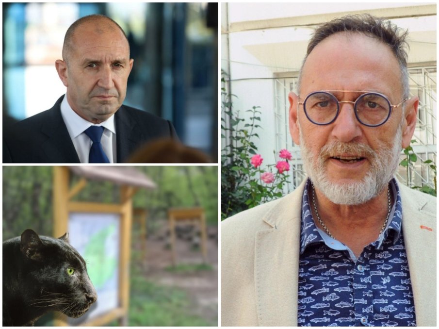 Любен Дилов ги разби: Вотът на недоверие целеше да отклони вниманието от шуменската пантера, а Радев...