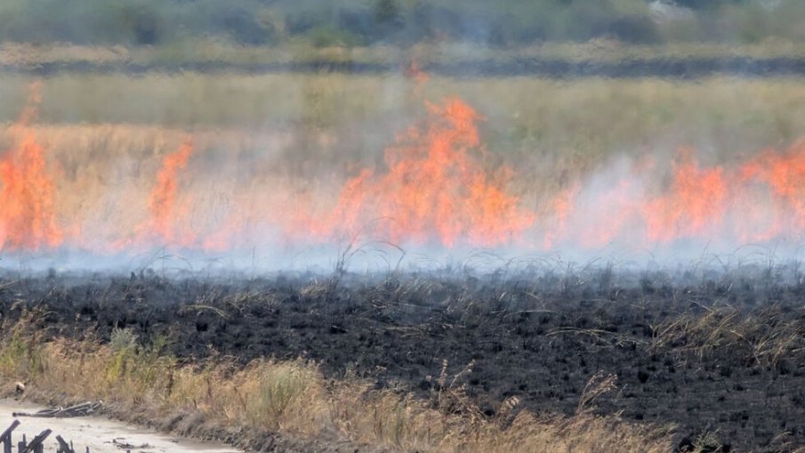 Атанасовското езеро пак гори, застрашено е биоразнообразието