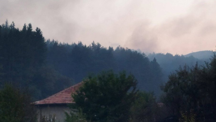 Голям горски пожар лумна край Дупница