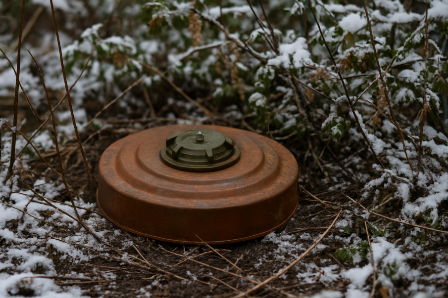 Финландия се оттегля от Конвенцията за забрана на противопехотните мини