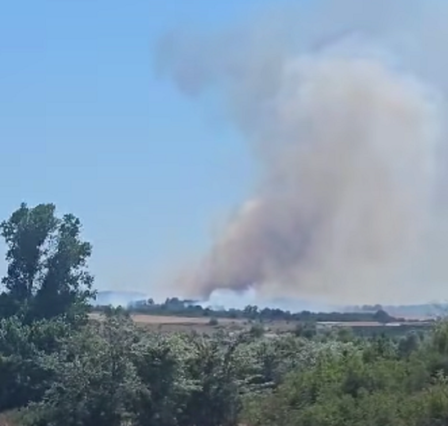 НЯМА КРАЙ! Пожар лумна и край Созопол (ВИДЕО)