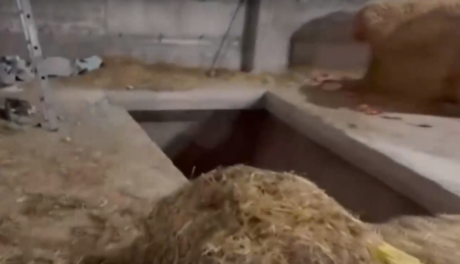 Британското посолство разпитва за разбитата гигафабрика за нелегални цигари