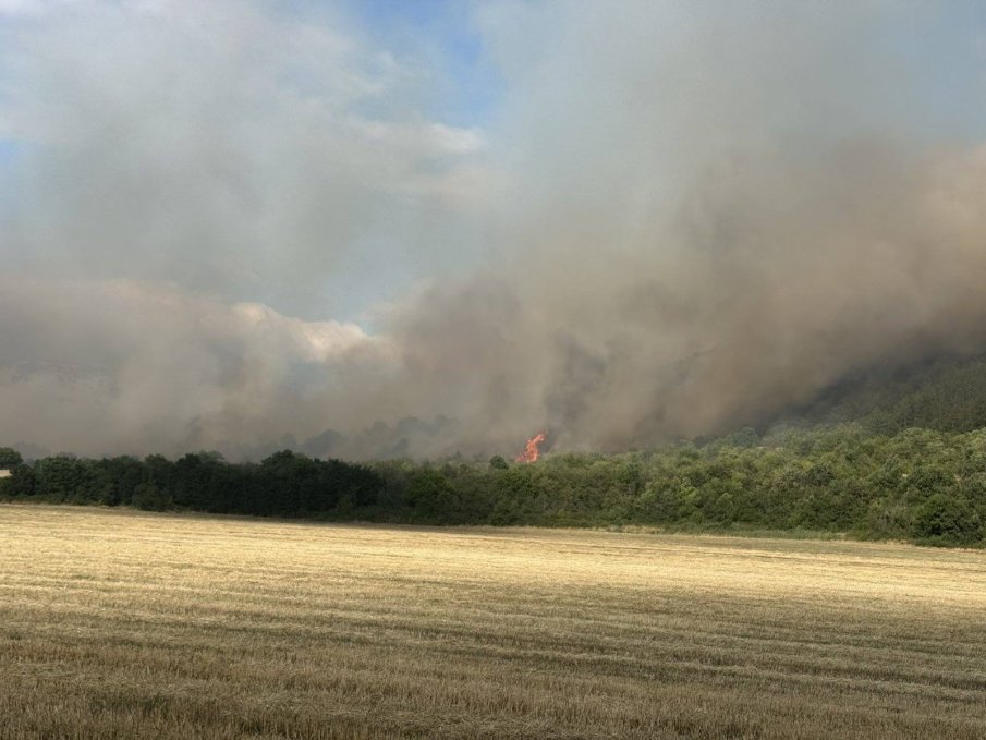 СТИХИЯТА КРАЙ МУРСАЛЕВО: Пожарът бушува върху 2000 декара
