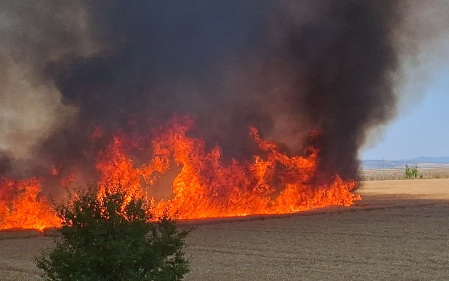 БЕДА У КОМШИИТЕ: Огромен пожар с жертва в Северна Македония, България реагира с екипи