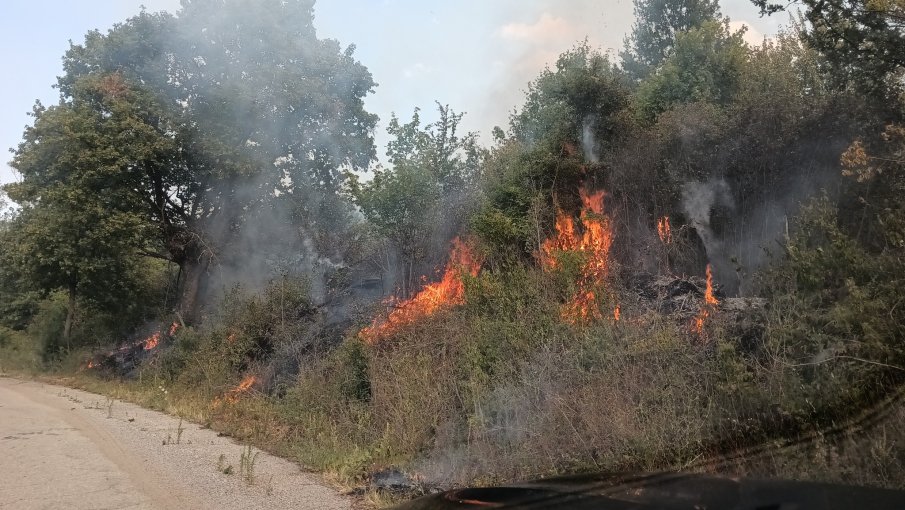 Пожар спря пътническия влак Пловдив - Подкова