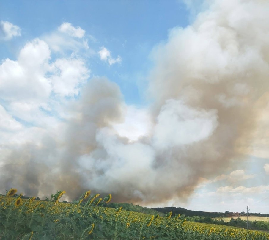 Четири деца предизвикаха пожар в сухи треви в стражишко село