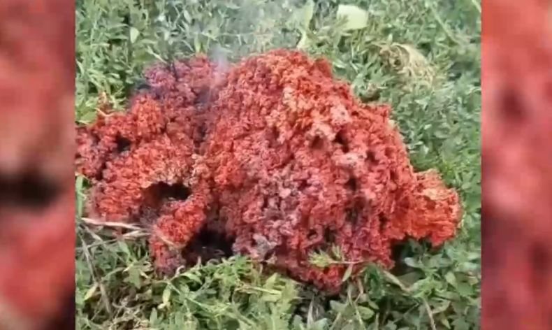 ЧУДО НЕВИЖДАНО! Странен червен обект кацна в двор на къща в Якоруда (ВИДЕО)