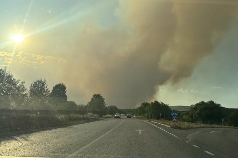 НОВА БЕДА: Голям пожар гори край Костинброд, огънят е засегнал и къщи