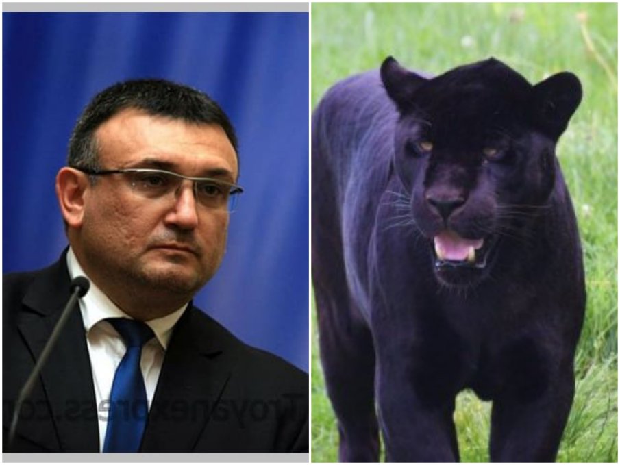 Бившият МВР министър Младен Маринов избяга от парламентарните дрязги на неочаквано място - ето какво намери там (СНИМКИ)