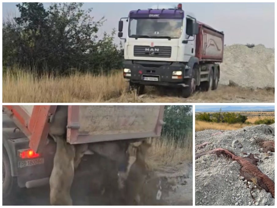 КРАЙ ПЪРВОМАЙ: Заровиха 400 овце, болни от шарка - кървав вулкан притесни местните (СНИМКИ/ВИДЕО)