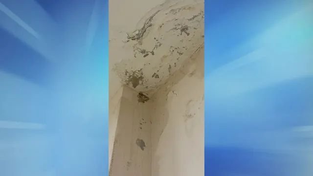 Абсурден казус от Пловдив: Детска градина протече след основен ремонт (СНИМКИ)