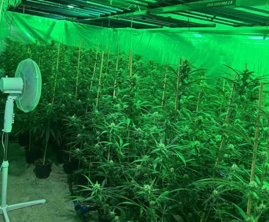 УДАР НА ПОЛИЦИЯТА: Разкриха високотехнологична наркооранжерия в Пазарджик