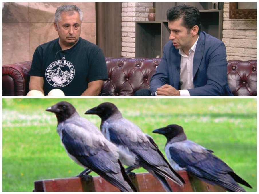 Татко Петко плаши гаргите