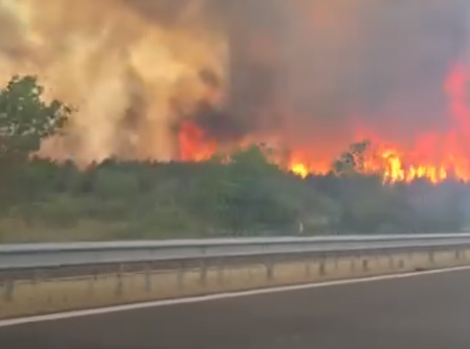 Задържаха мъж за пожара в местността „Боаза“