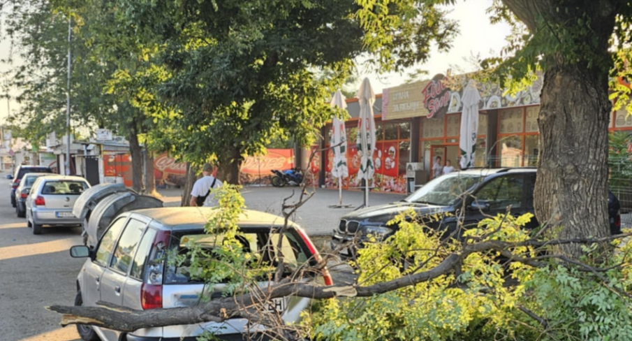 Огромен клон падна върху лек автомобил в Пловдив