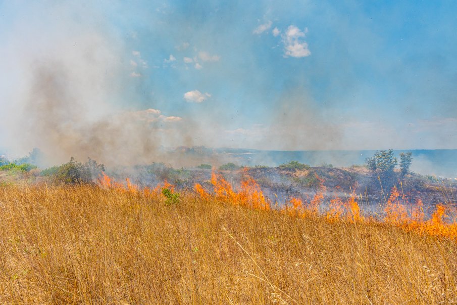 НЯМА КРАЙ: Пламнаха сухи треви край плаж Нестинарка
