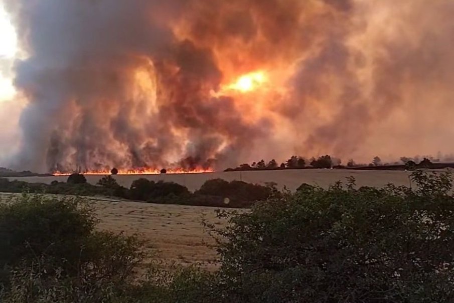 Пожарът над село Опицвет се разгоря отново - заплашва помпена станция и детски онкоцентър