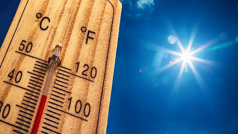 Пловдив писна с BG-Alert предупреждение за убийствени жеги