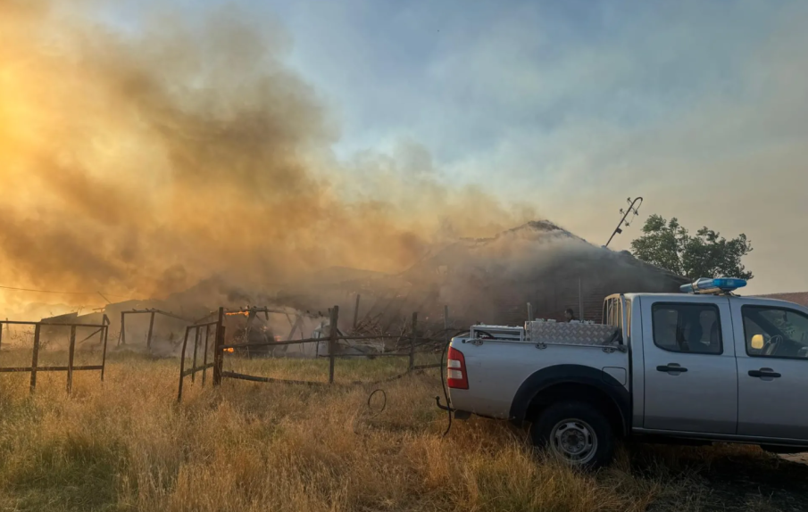 Евакуираха 51 души заради пожара край Тополовград
