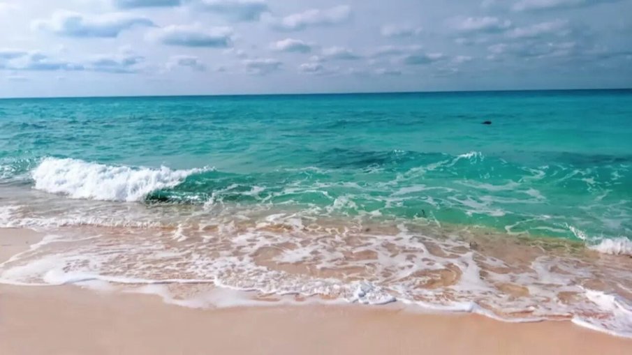 През следващата седмица в TravelLove: кози по дърветата, пумата чудо и Пипи на релси (СНИМКИ)