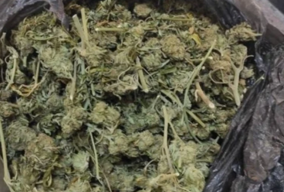 Марихуана и незаконен пистолет иззеха от имот в Тръстеник