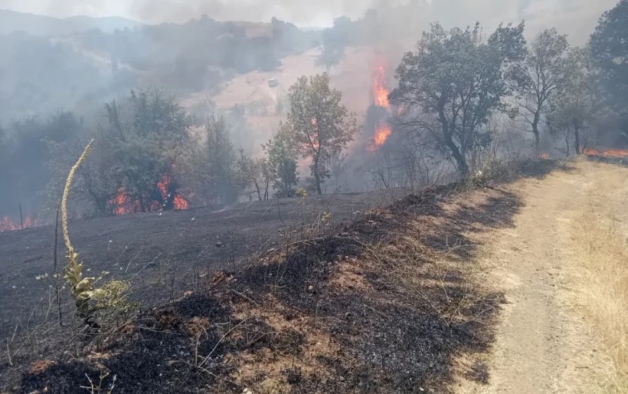 В Дупница събират средства за пострадалите от пожара в Трънско