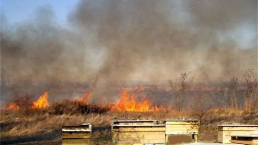 Пожар изпепели 50 кошера в Павликенско