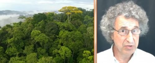 Учен с АПОКАЛИПТИЧНА ПРОГНОЗА: Земята се загрява много бързо - може да се стигне до най-жестокото измиране в историята