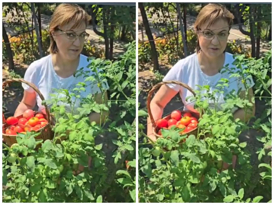 ШОУ: Нинова цъфна като берачка на домати, сръфаха я: И на Еверест ще се качи, за да влезе в парламента